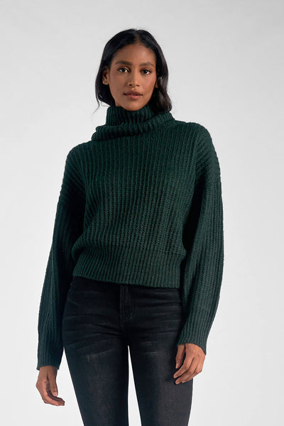 Elan Evergreen Ribbed Turtleneck Sweater
