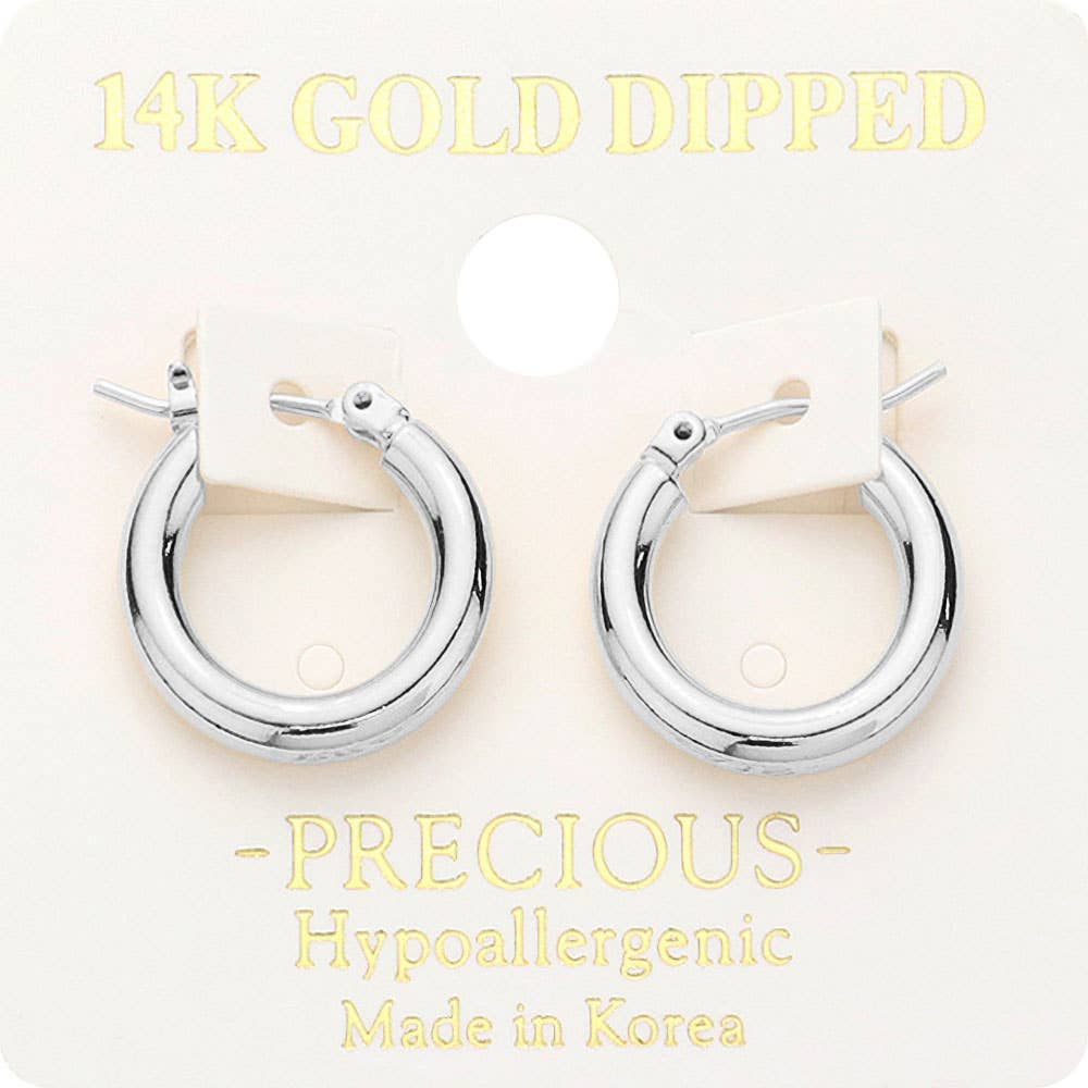 Metal Hoop Pin Catch Earrings