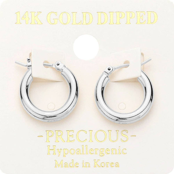 Metal Hoop Pin Catch Earrings