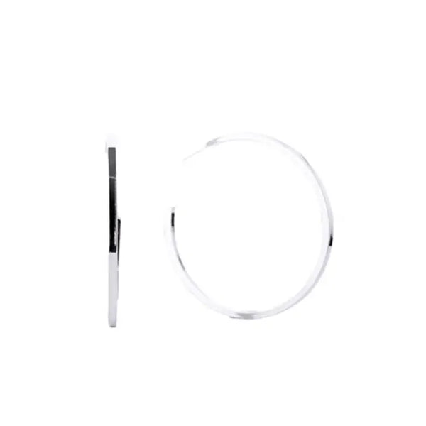 Large Hoop Post Earrings