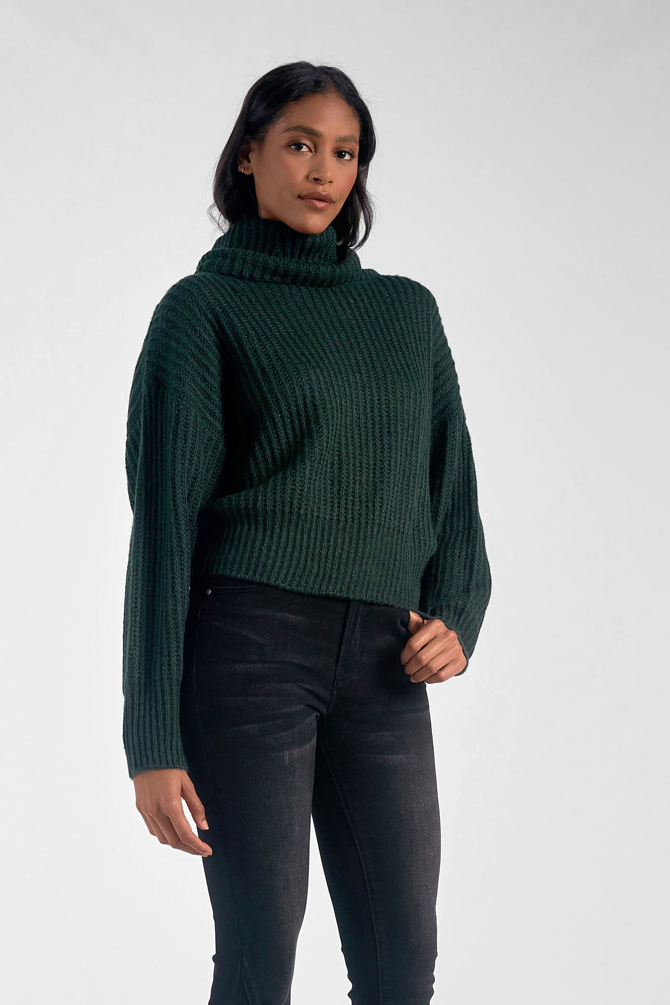 Elan Evergreen Ribbed Turtleneck Sweater