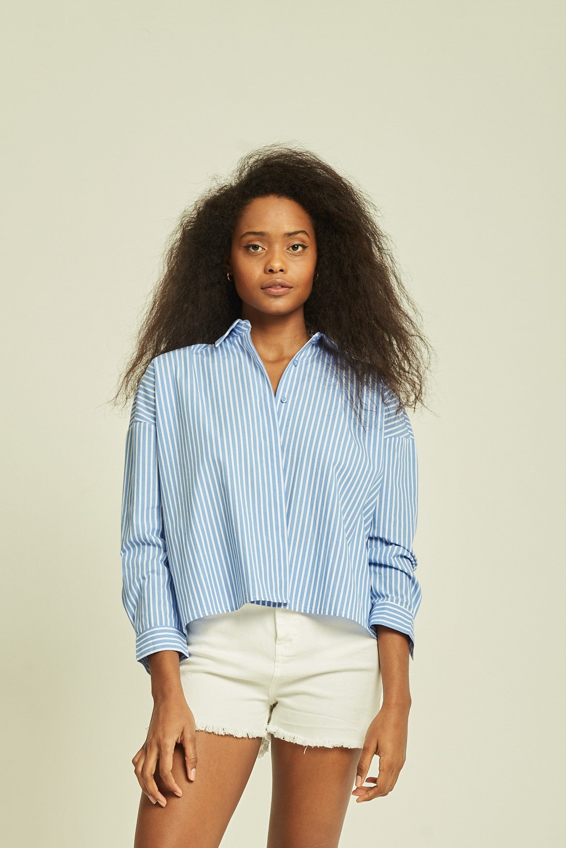 Deluc Blue White Long Sleeve Button Down Top