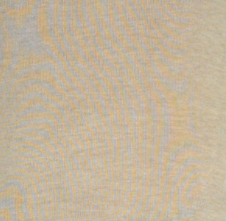 Short Sleeve Turtleneck Top