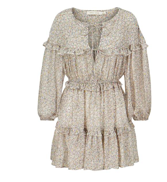 Floral Print Boheme Mini Dress