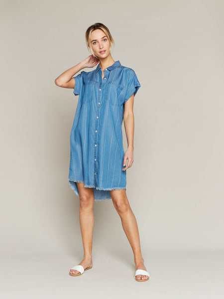 Short Sleeve Denim Dress with White Pinstripes