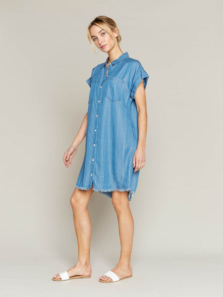 Short Sleeve Denim Dress with White Pinstripes