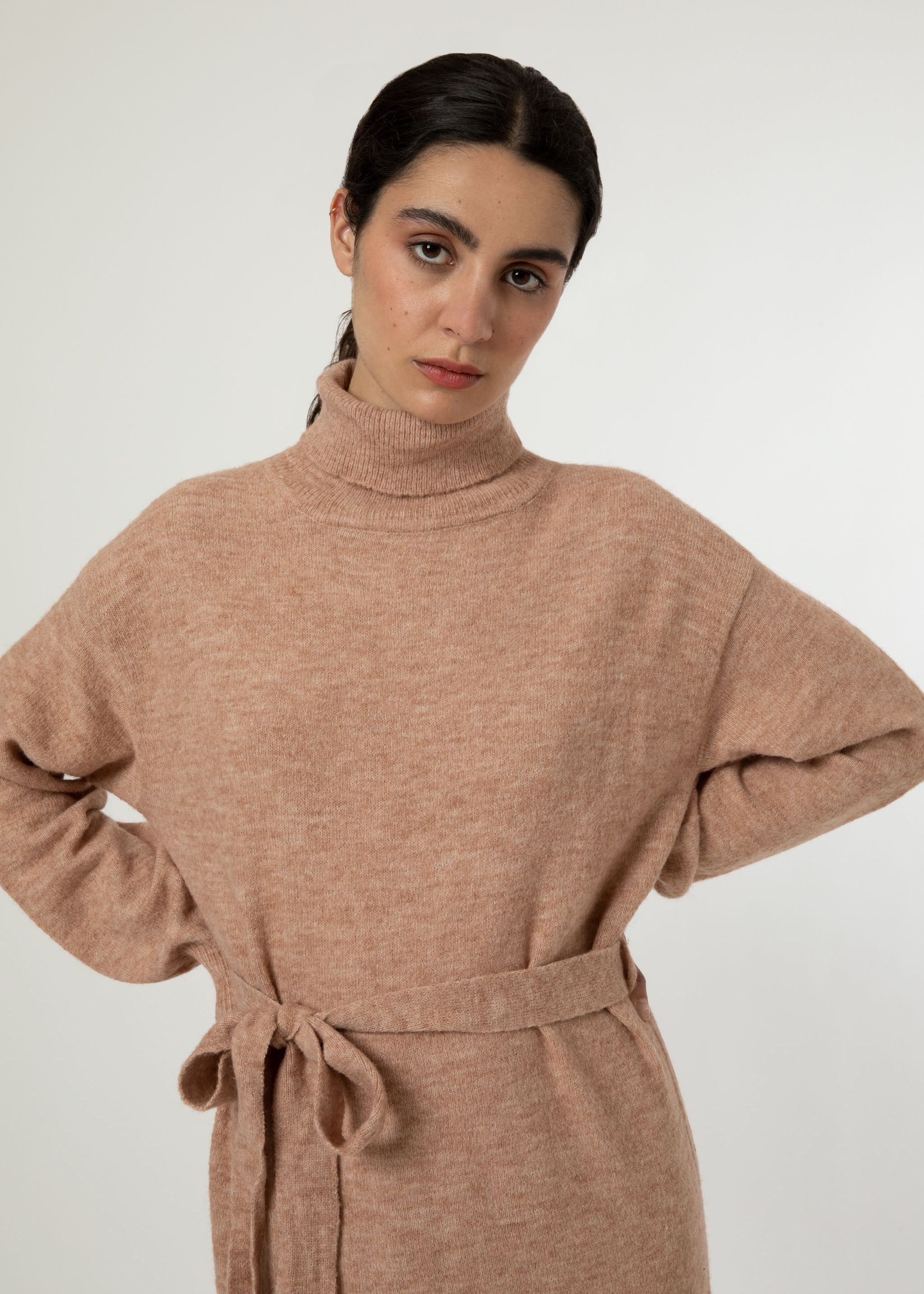 FRNCH Camel Turtleneck Sweater Dress